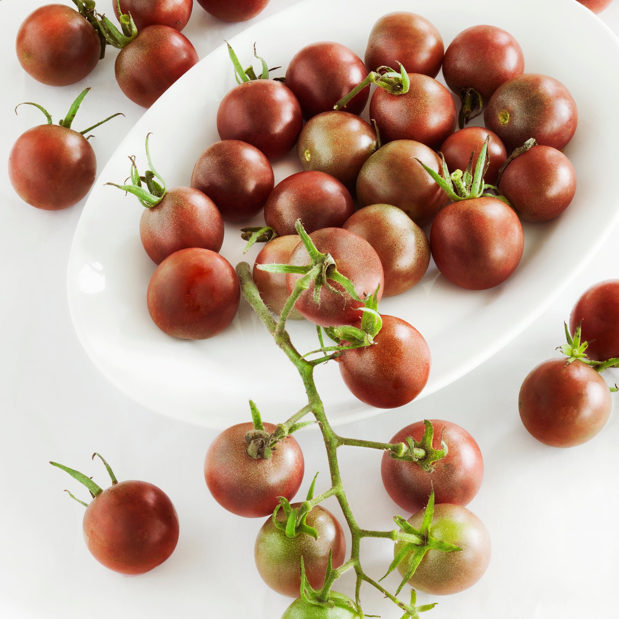 Tomato Grape Cherry Slicer Fruit Vegetable Salad Manual