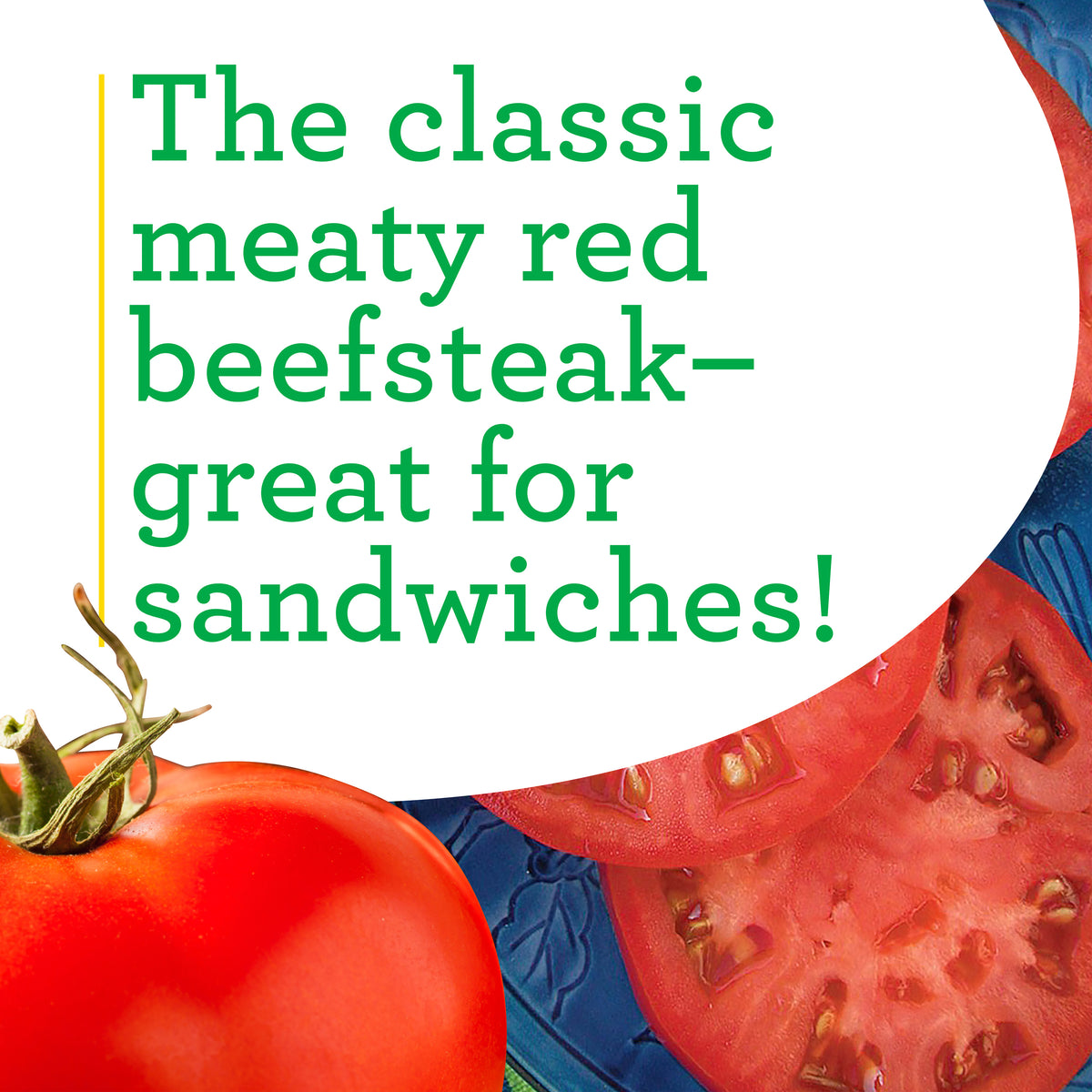 Beefsteak Red Tomato (2 Pack) Bonnie Plants