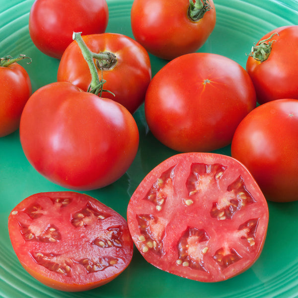 Bonnie tomatoes (this article, Bonnie tomato, Bonnie tomatoes) Bonnie tomatoes