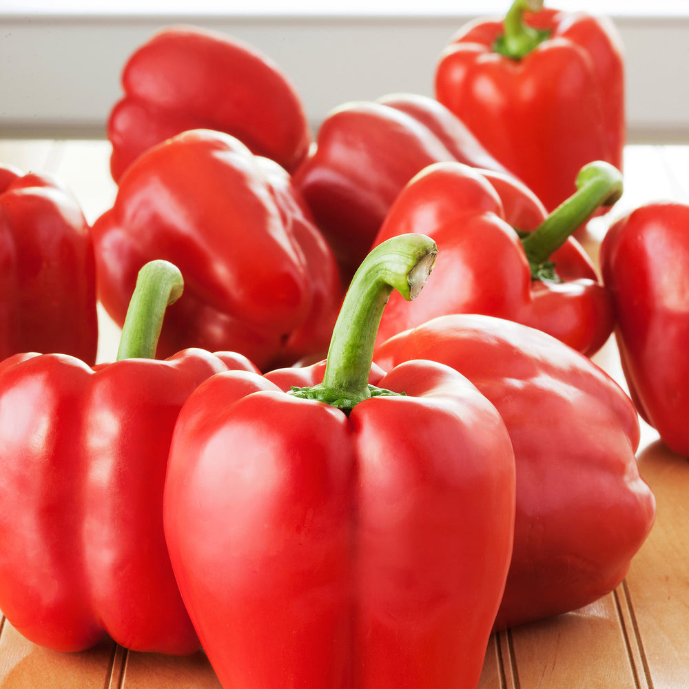 red bell pepper plant from seed temperature Red Bell Pepper (2 Pack)
