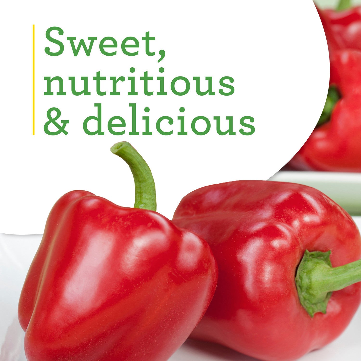 Red Bell Pepper (2 Pack) – Bonnie Plants