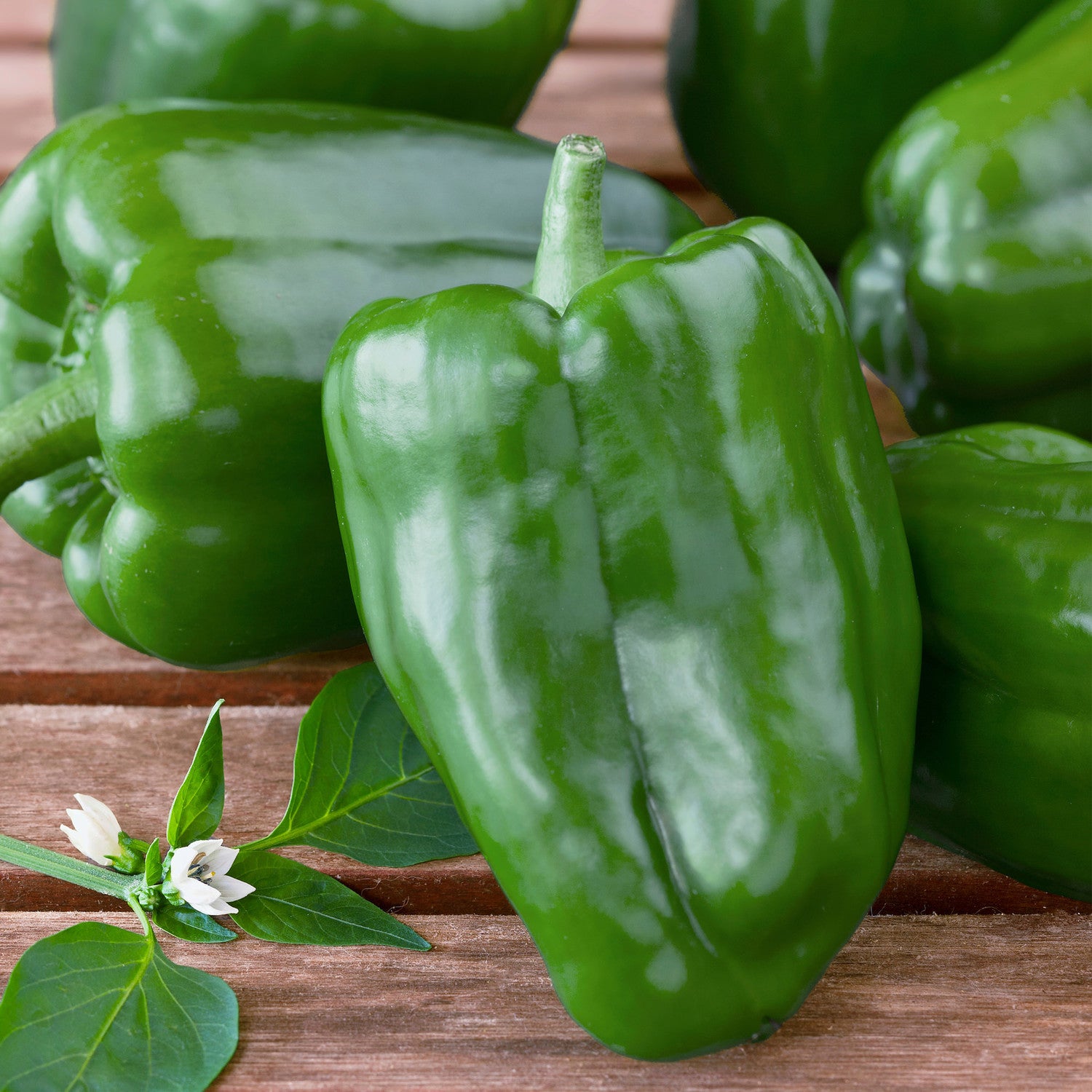 Red Pepper Vs. Green Pepper - How Do They Compare?