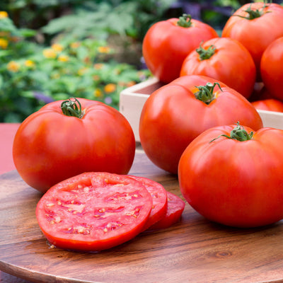 Tomato Fourth of July - Buy Tomato - Slicer Edibles Online