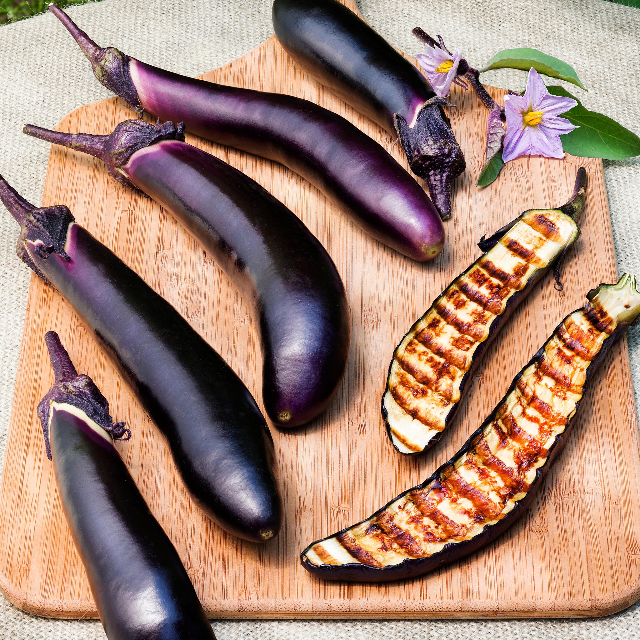 succulent eggplants Ichiban Eggplant (2 Pack)