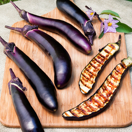 Ichiban Eggplant (2 Pack) Bonnie Plants