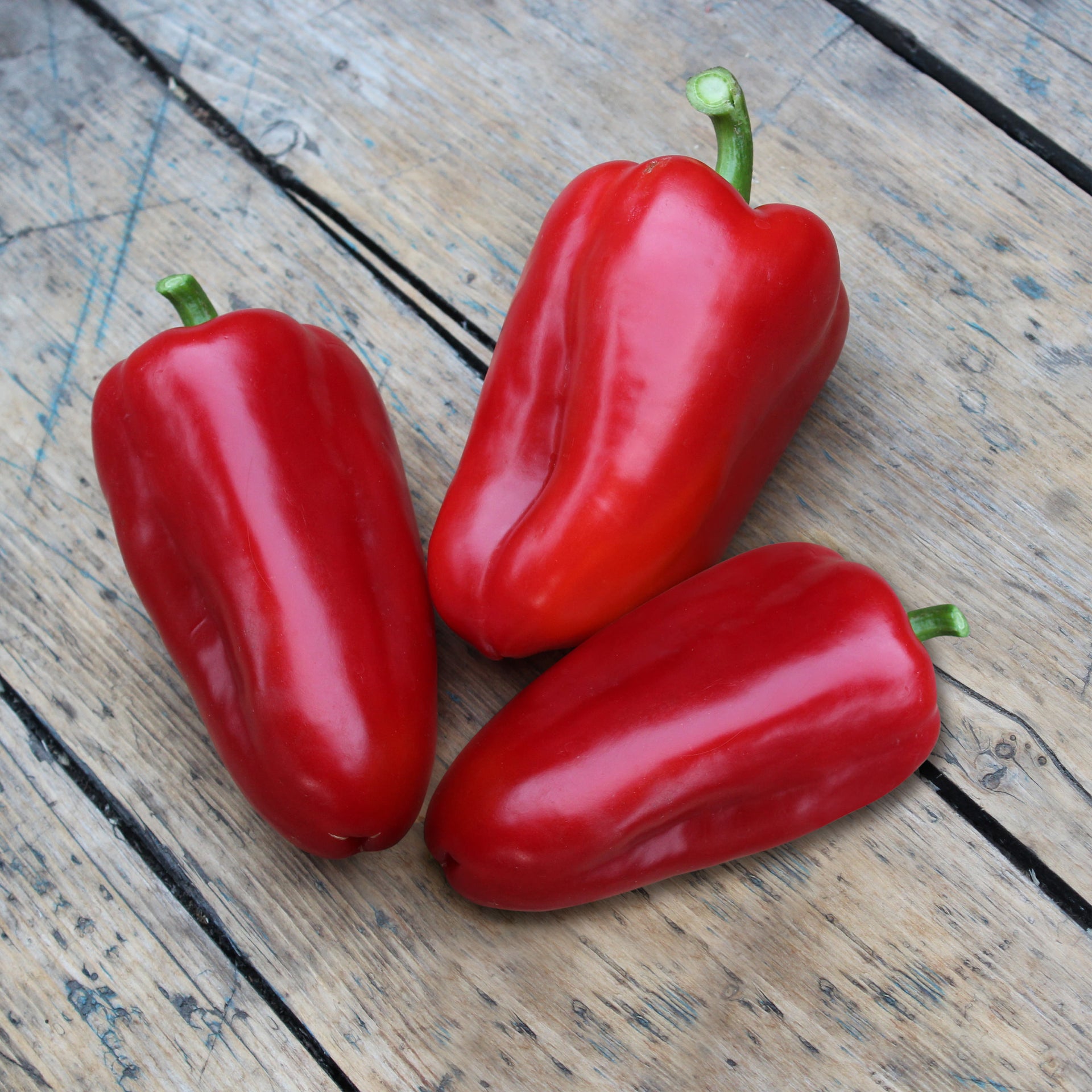 Snacking Red Pepper (2 Pack) – Bonnie Plants