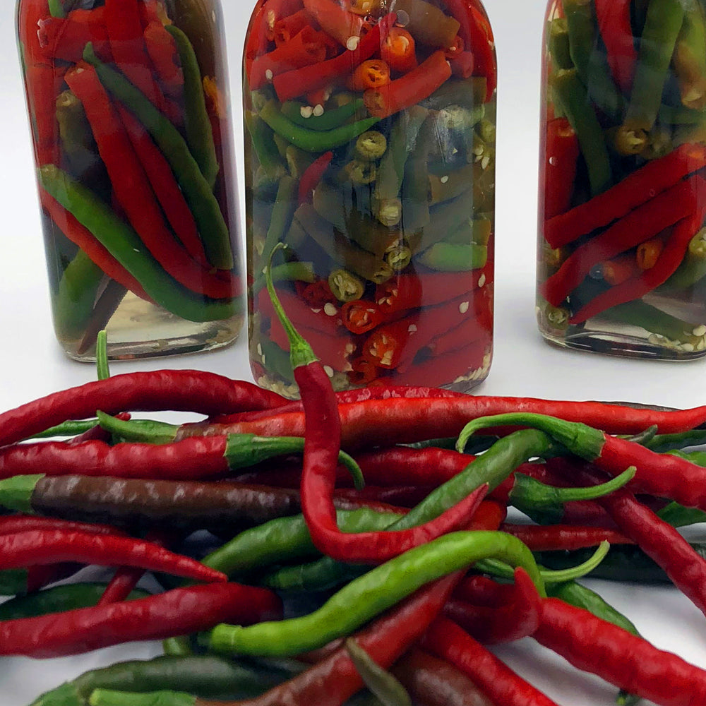 potted cayenne pepper plant Cayenne Pepper (2 Pack) – Bonnie Plants