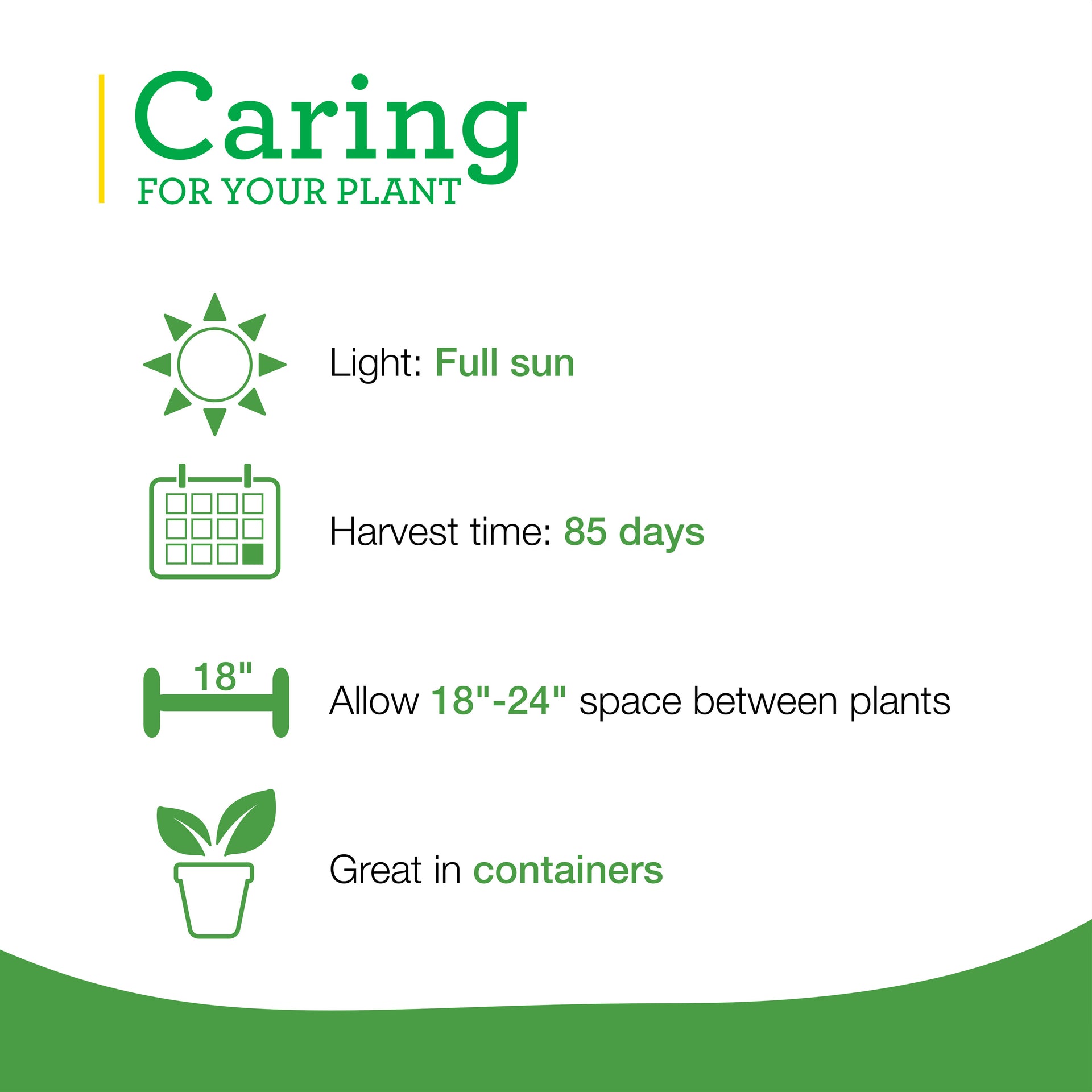 Cayenne Pepper (2 Pack) Bonnie Plants