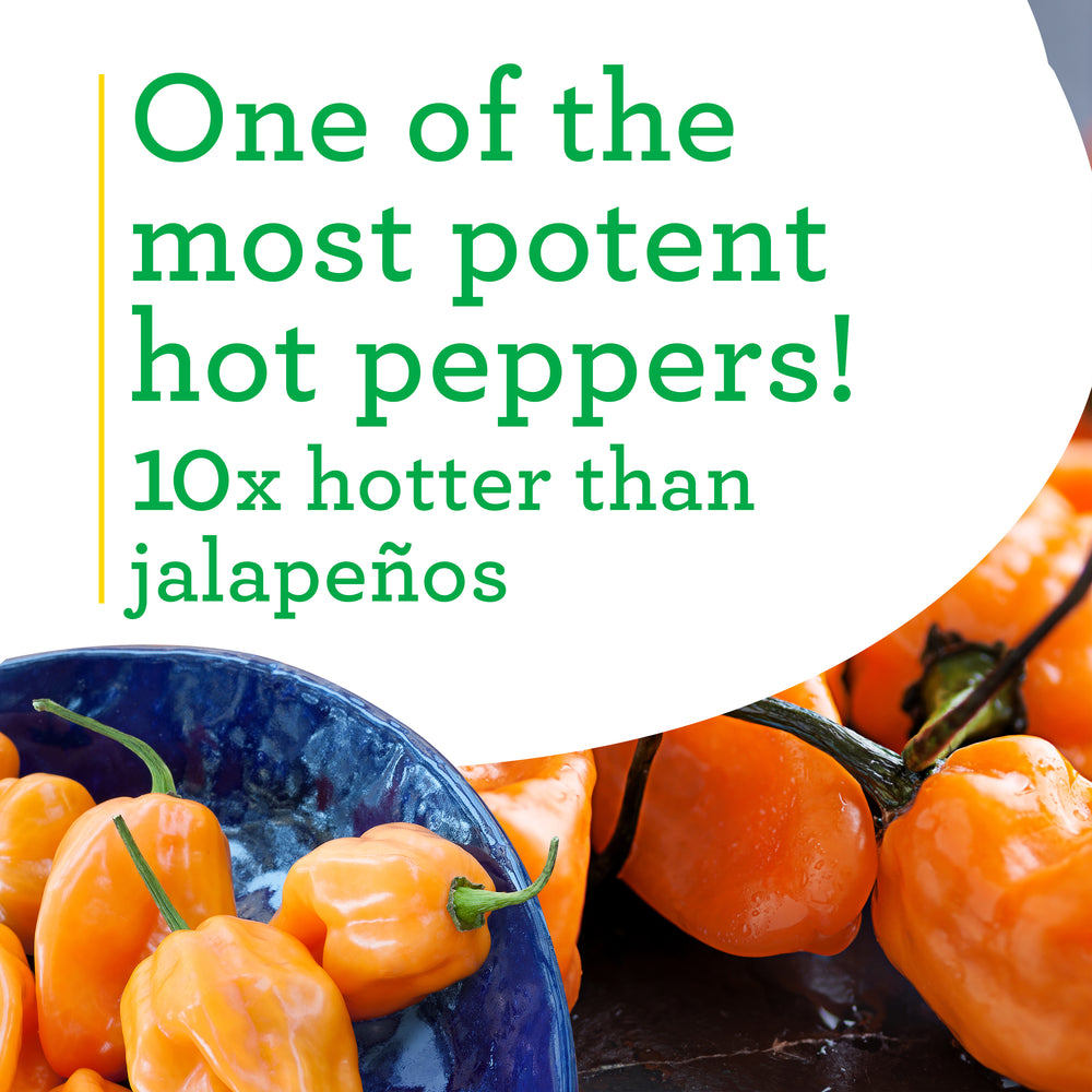 Habanero Hot Pepper (2 Pack)
