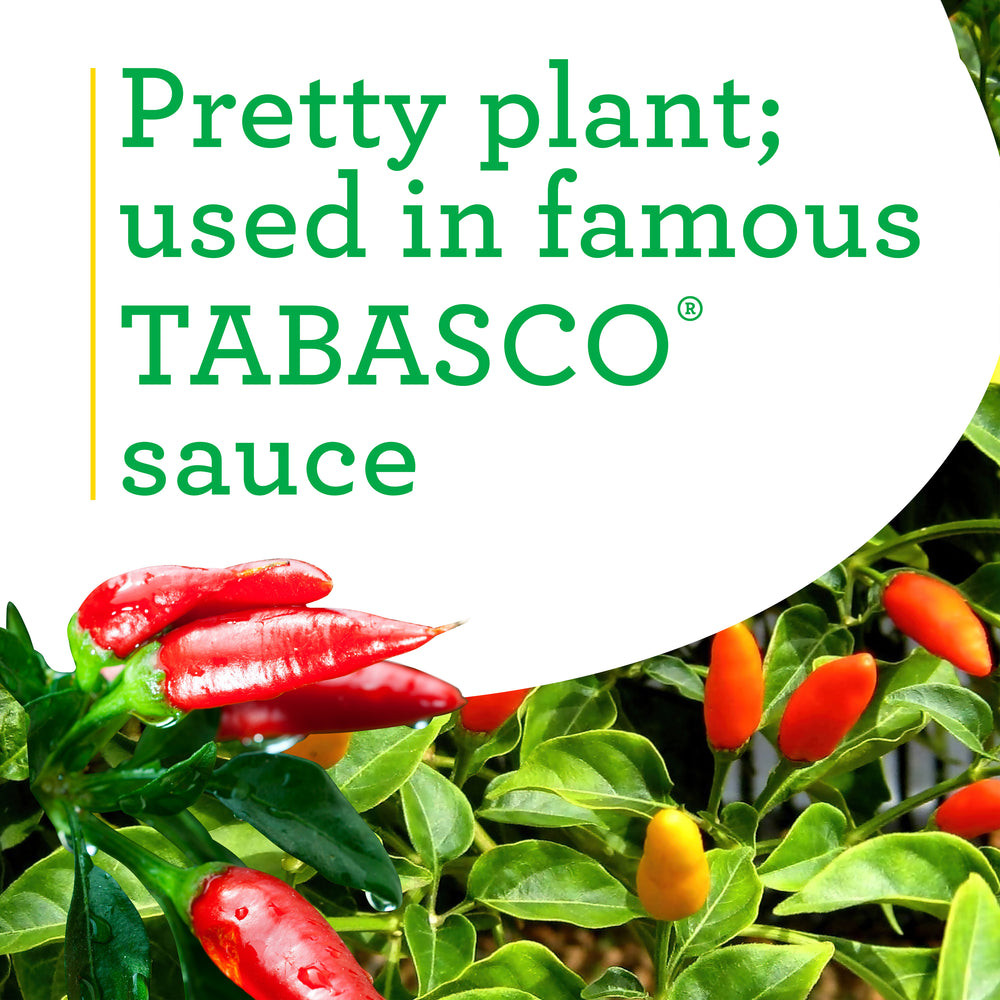 Tabasco Hot Pepper (2 Pack)