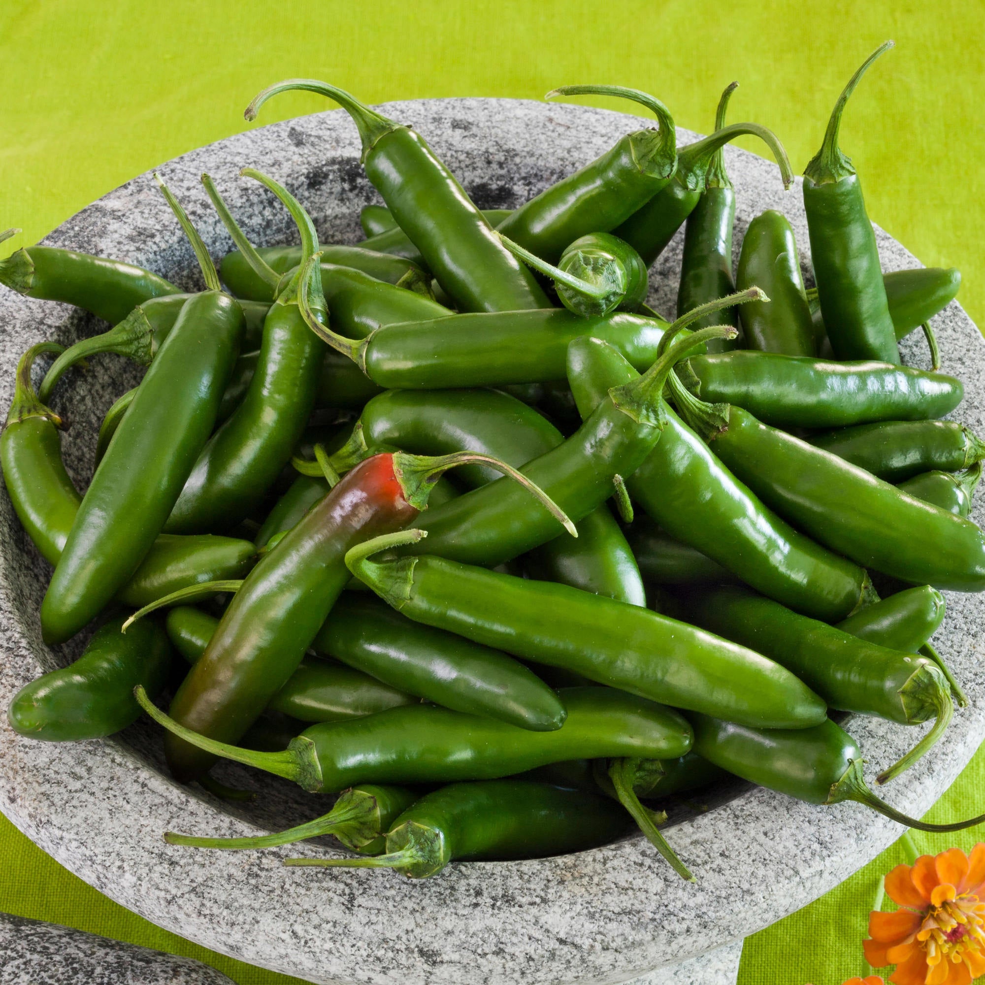 pepper in jade plant Serrano Pepper (2 Pack)