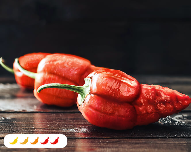 Apocalypse Red Pepper (2 Pack)