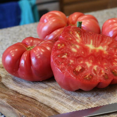 Pink Delicious Tomato (2 Pack) – Bonnie Plants