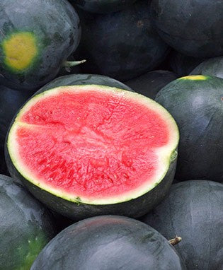 How To Grow Black Diamond Watermelon? – Gardening Expert Advice
