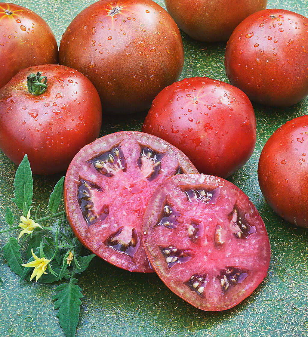 Black Brandywine Heirloom Tomato Seeds - Large Tomato - One of The Most  Delicious Tomatoes for Home Growing