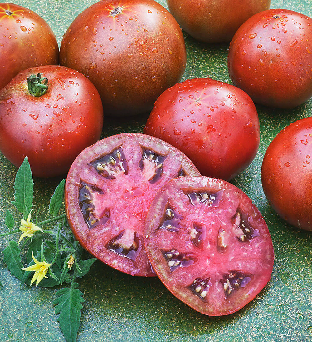 Black Prince Heirloom Tomato Seeds-Organic Black Prince