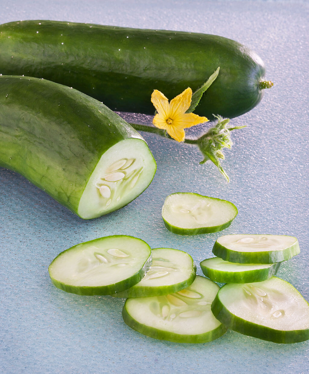 Burpless Bush Hybrid Cucumber Bonnie Plants