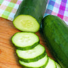 Burpless Hybrid Cucumber