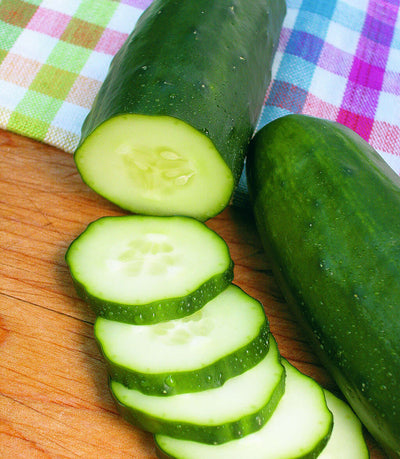 Burpless Hybrid Cucumber