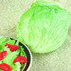 Head Lettuce (Iceberg Type)
