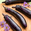 Ichiban Eggplant (2 Pack)