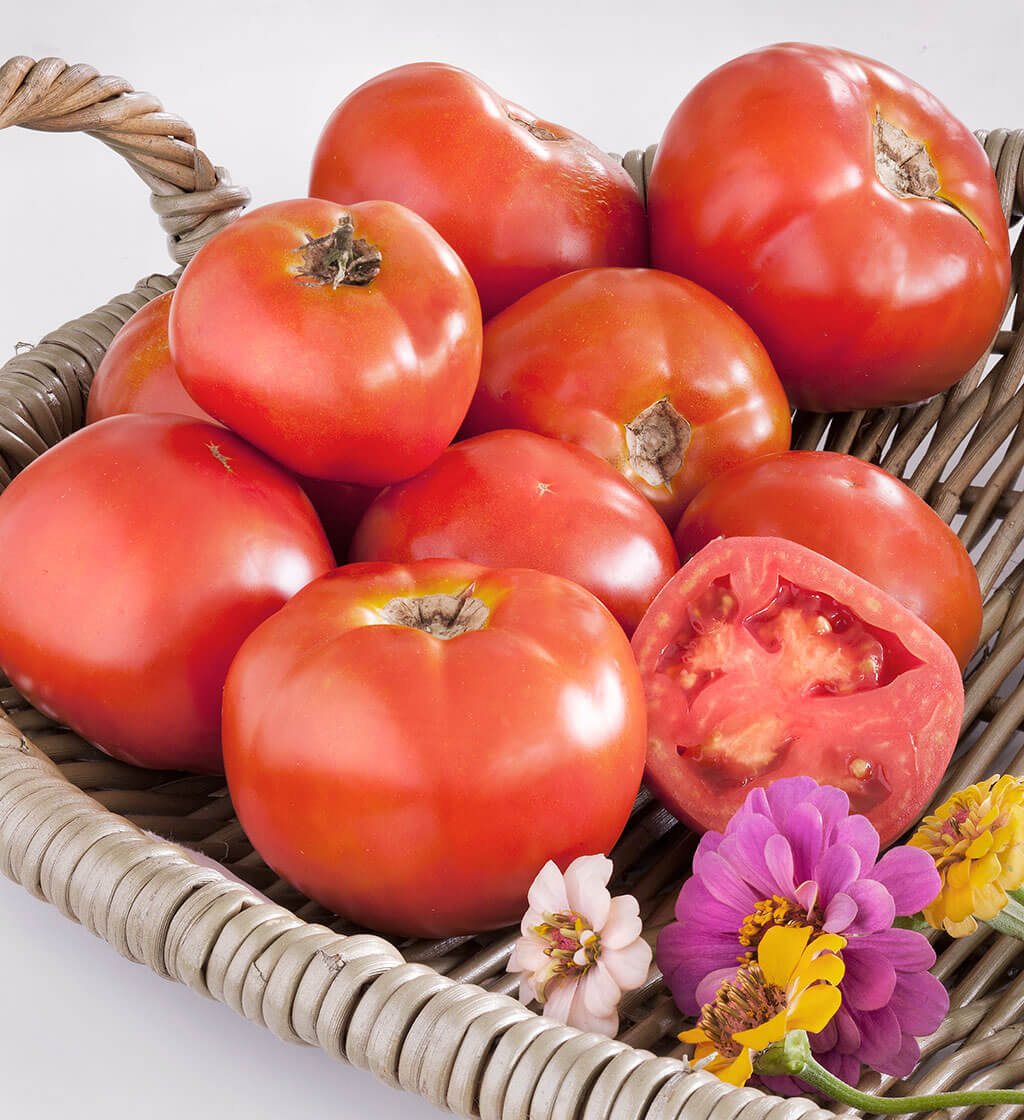 Marion Heirloom Tomato