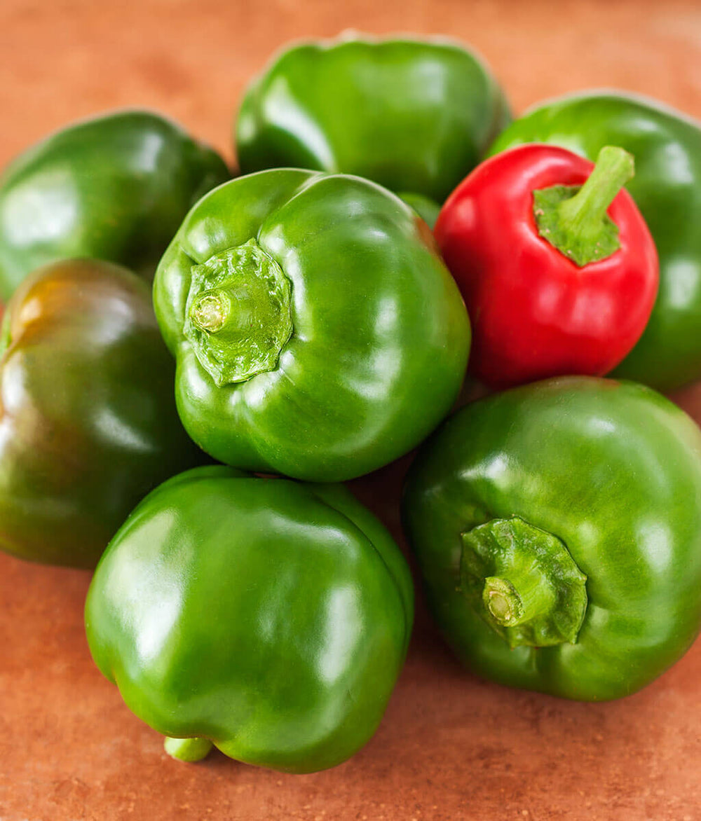 Mexibell Pepper – Bonnie Plants