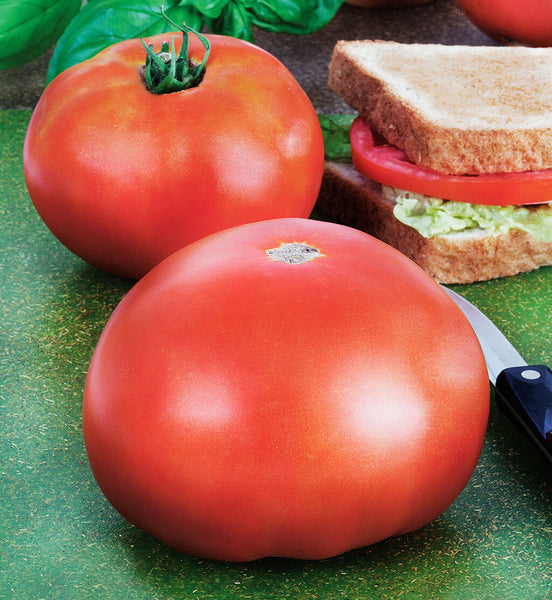 park-s-whopper-improved-