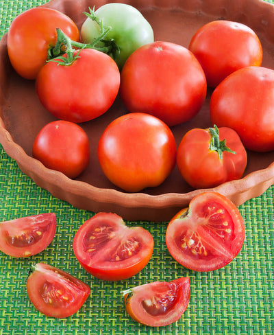 bonnie tomato plants in pots Patio Tomato (2 Pack) – Bonnie Plants