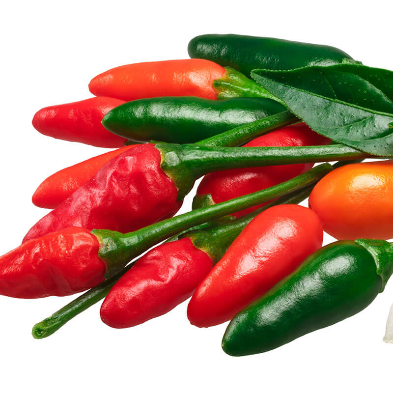 Pequin Chili Pepper