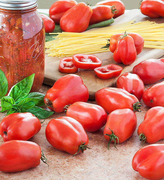 San Marzano Tomato Bonnie Plants