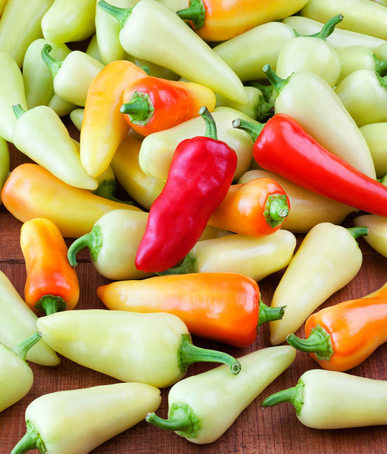 Santa Fe Grande Hot Pepper – Bonnie Plants