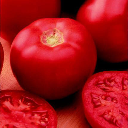 Seattle's Best Heirloom Tomato