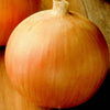 Sweet Jumbo Onion